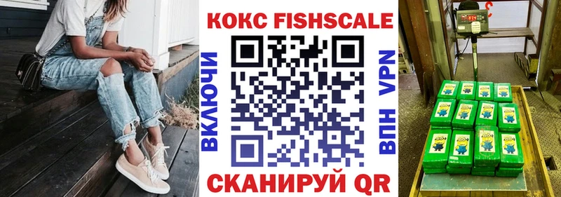 Купить закладки  Белый  Кокаин Fish Scale 