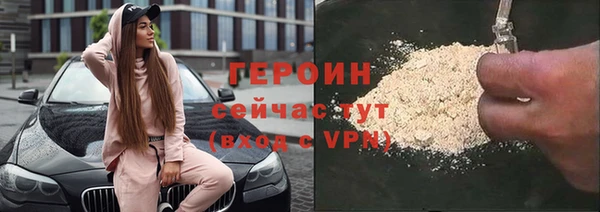 прущие грибы Магадан