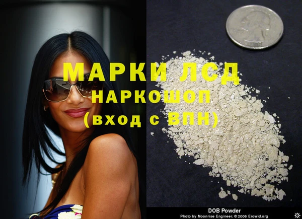сатива Магас