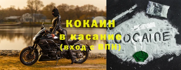 сатива Магас