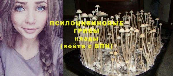 apvp Армянск