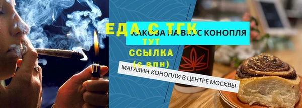 прущие грибы Магадан