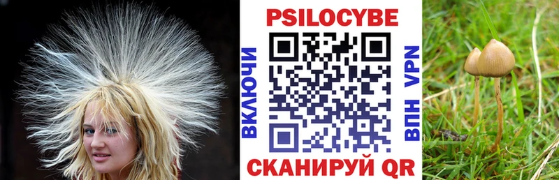Купить закладки  Белый  Галлюциногенные грибы мухоморы 